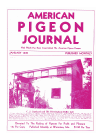 Magazine Cover